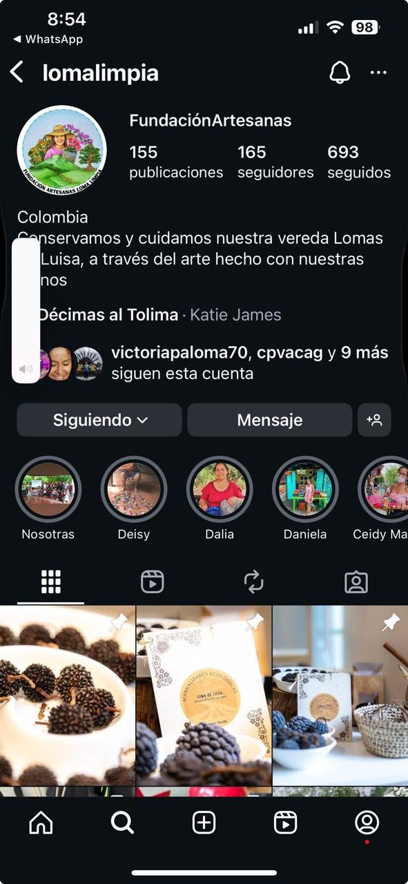 Perfil de Instagram de Artesanas Loma de Luisa